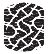 Tire 15 PSI