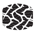 Tire 25 PSI